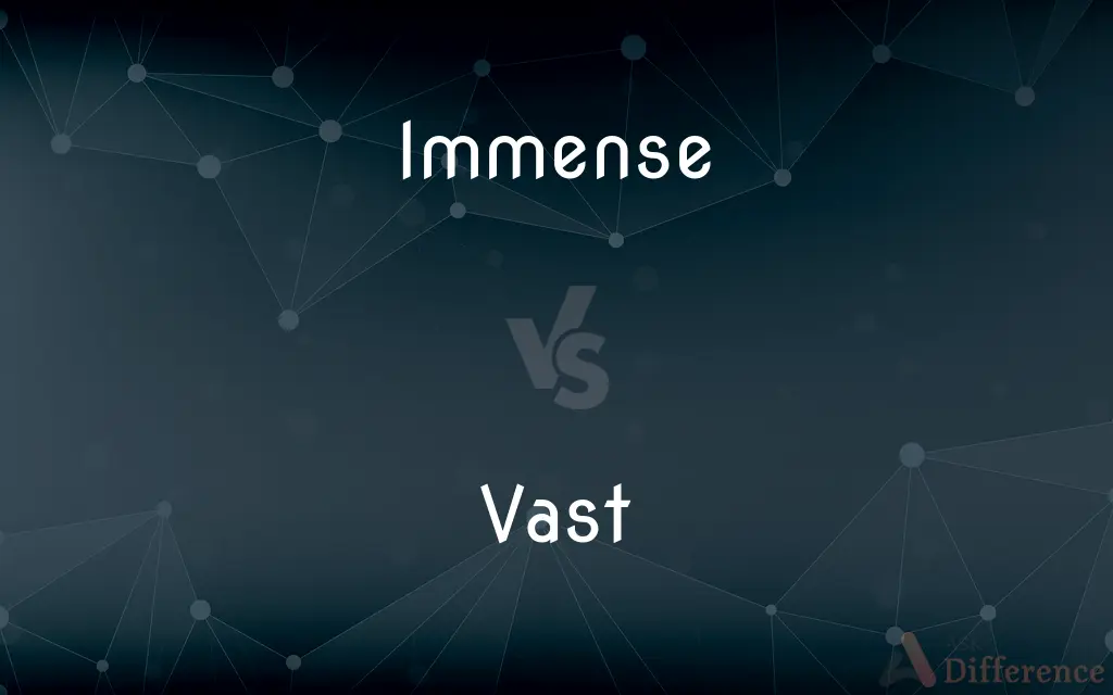 Immense vs. Vast — What's the Difference?