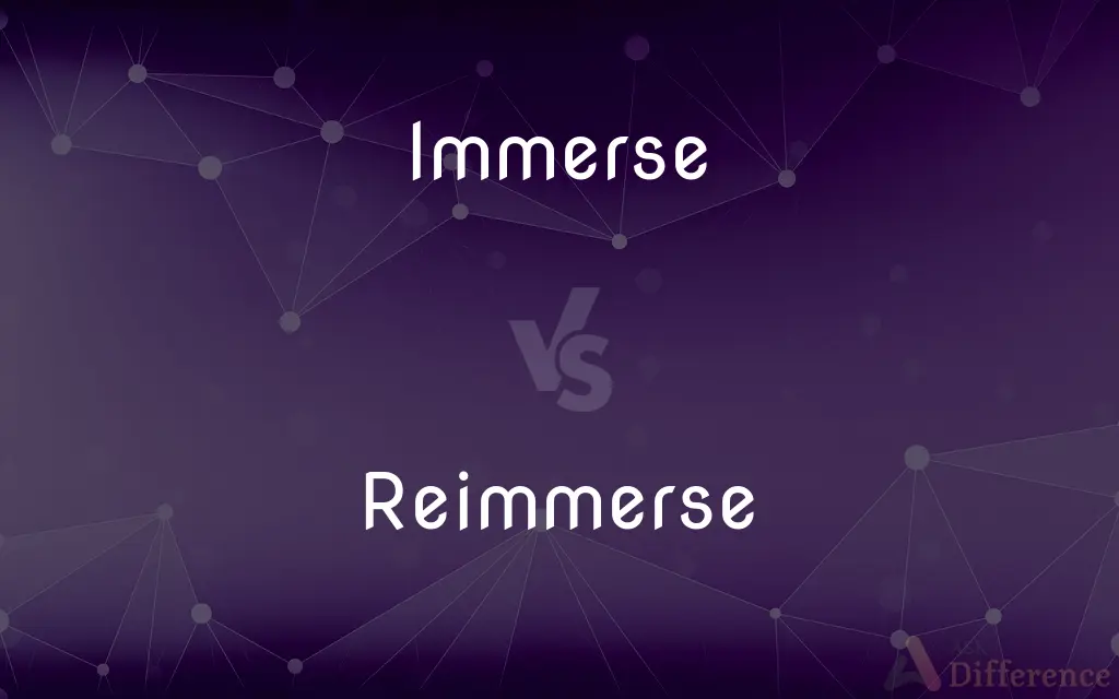 Immerse vs. Reimmerse — What's the Difference?