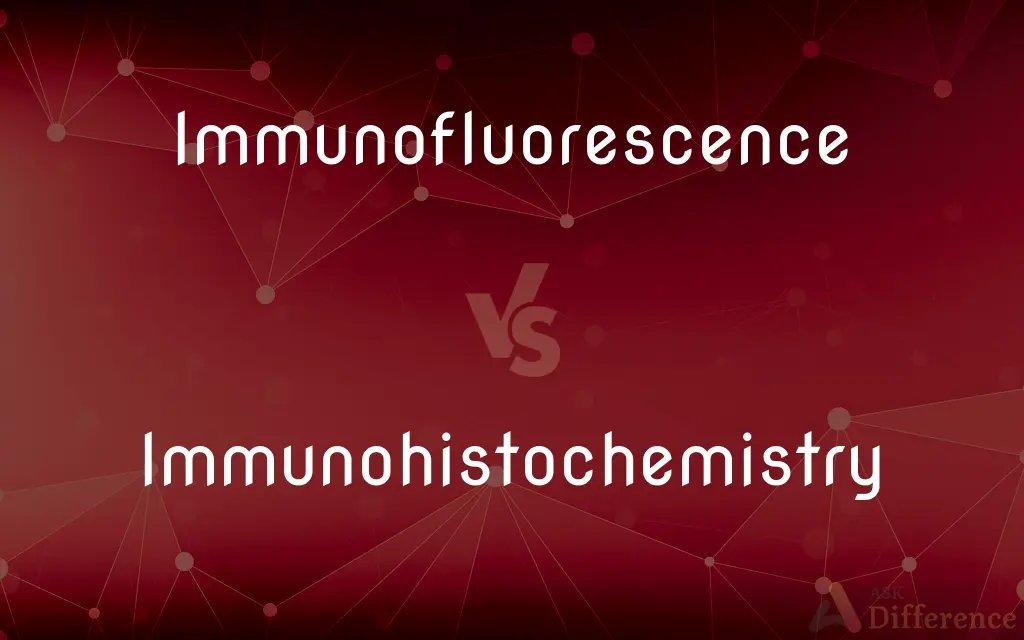 Immunofluorescence vs. Immunohistochemistry — What's the Difference?
