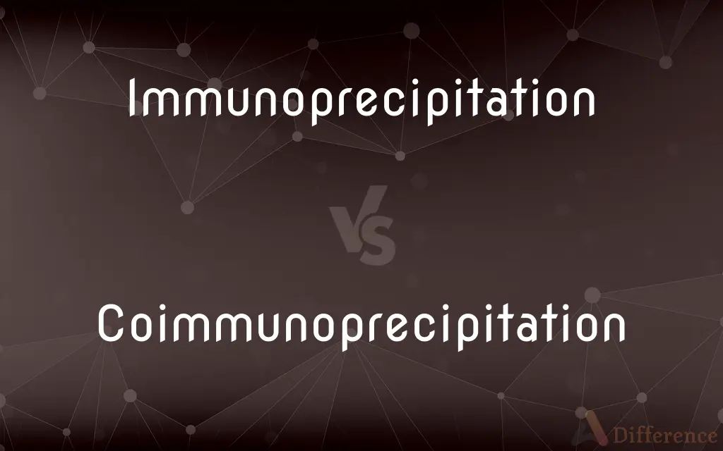 Immunoprecipitation vs. Coimmunoprecipitation — What's the Difference?