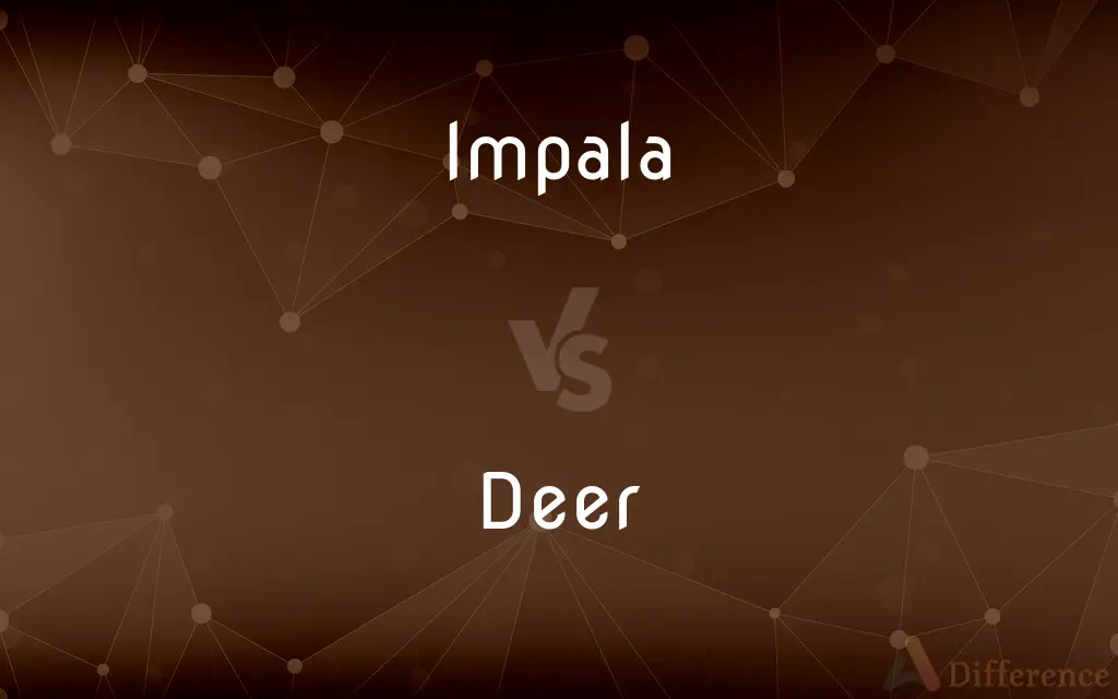 Impala vs. Deer — What's the Difference?