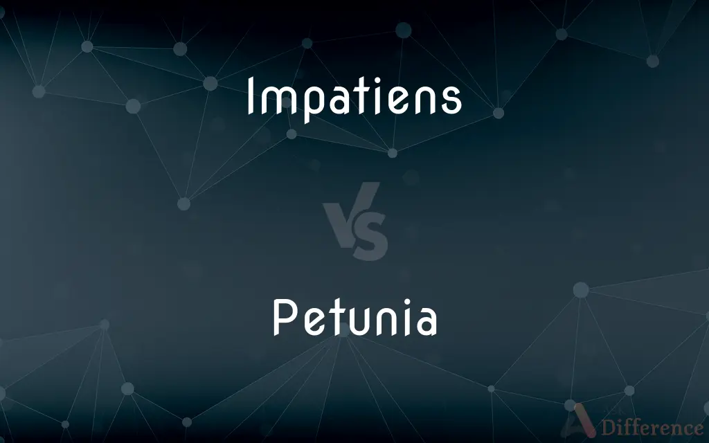 Impatiens vs. Petunia — What's the Difference?