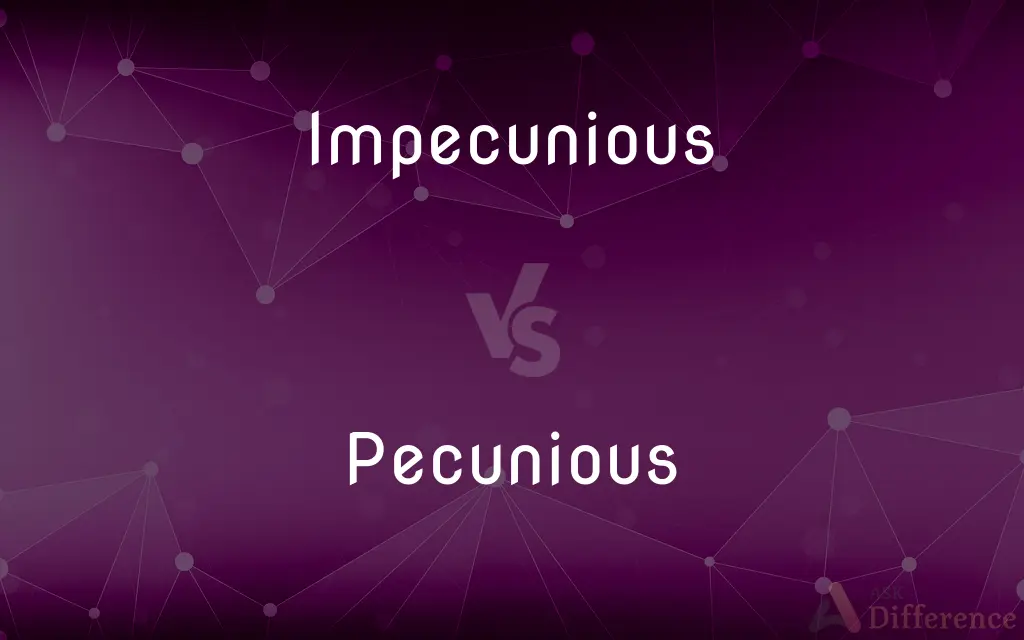 Impecunious vs. Pecunious — What's the Difference?