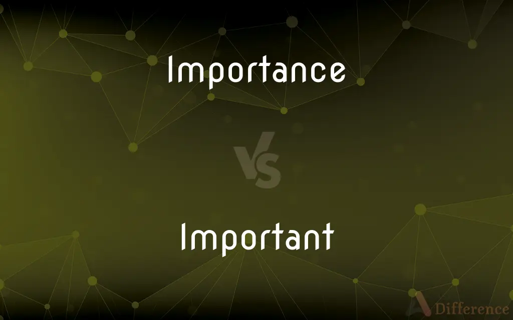 Importance vs. Important — What's the Difference?