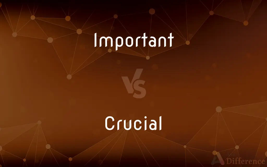 Important vs. Crucial — What's the Difference?