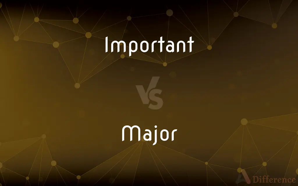 Important vs. Major — What's the Difference?