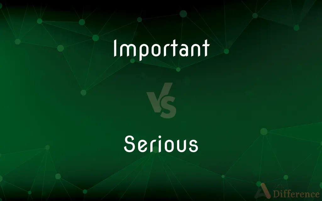 Important vs. Serious — What's the Difference?
