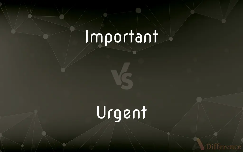 Important vs. Urgent — What's the Difference?