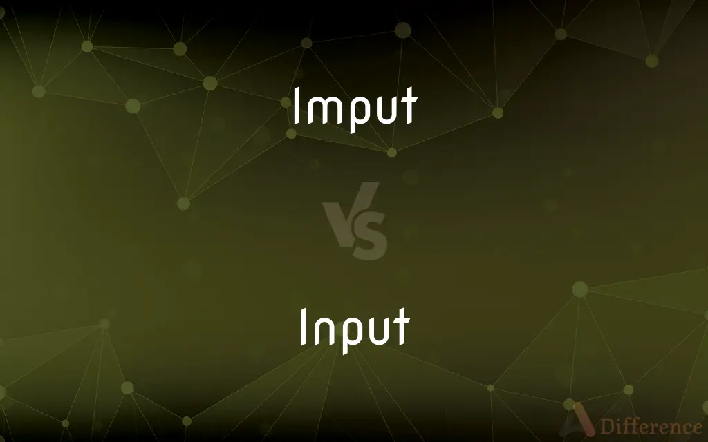 Imput vs. Input — Which is Correct Spelling?