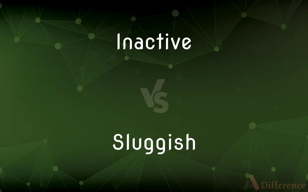 Inactive vs. Sluggish — What's the Difference?