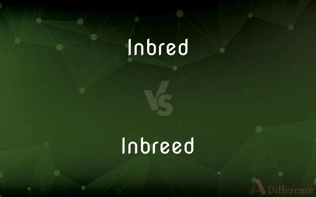 Inbred vs. Inbreed — What's the Difference?