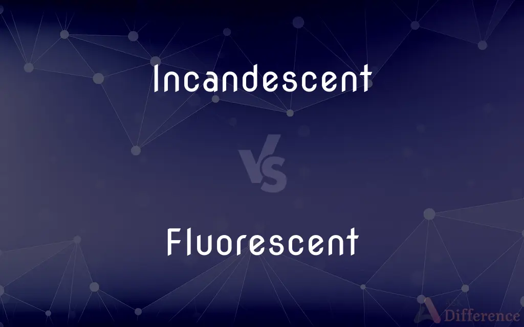 Incandescent vs. Fluorescent — What's the Difference?