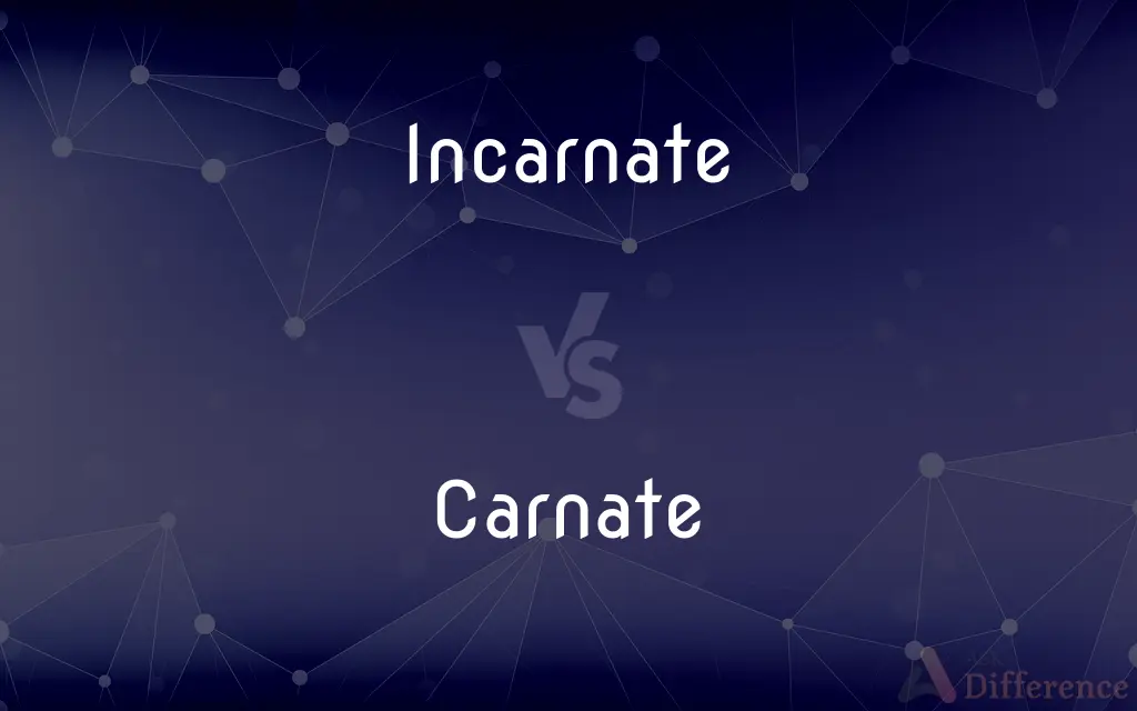 Incarnate vs. Carnate — What's the Difference?