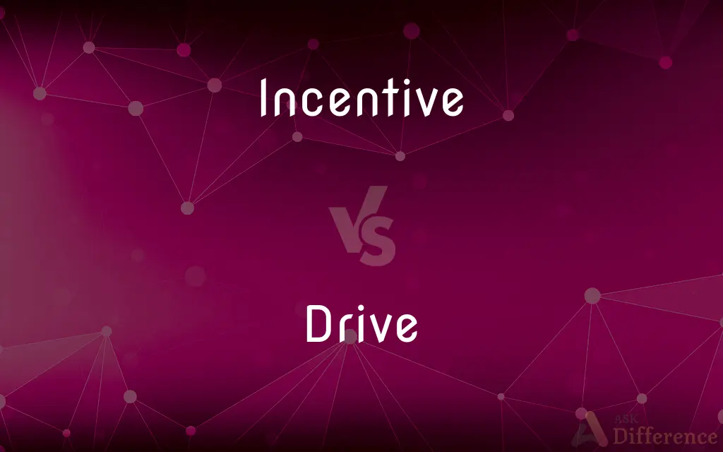 Incentive vs. Drive — What's the Difference?