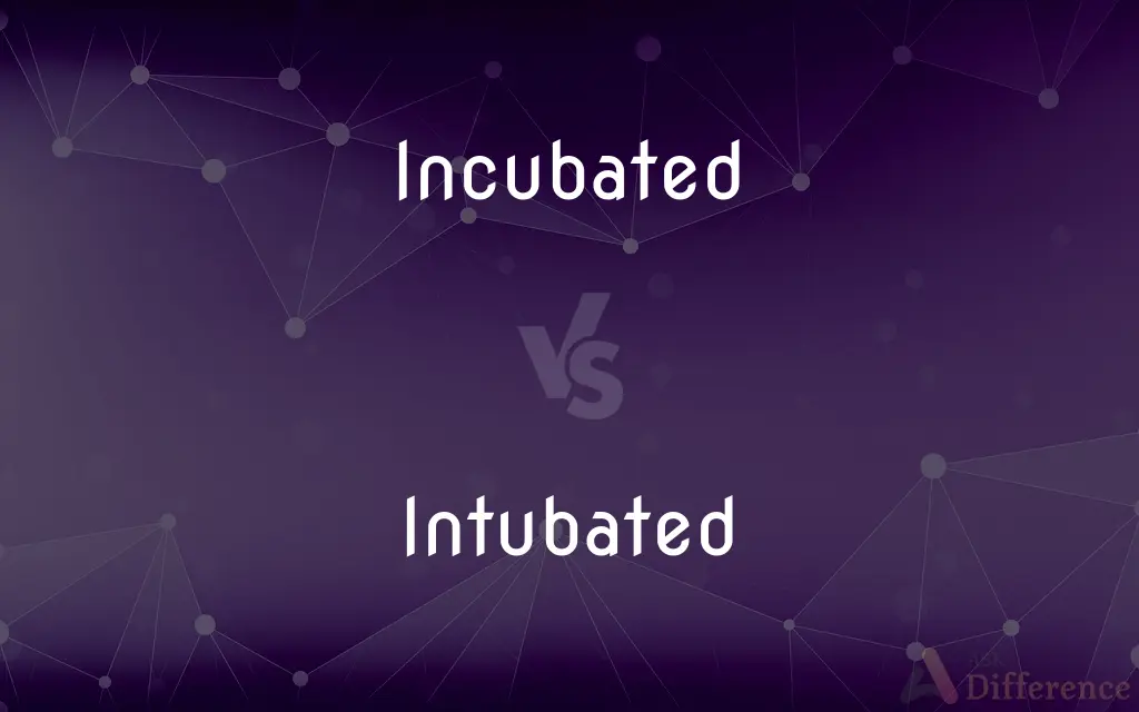 Incubated vs. Intubated — What's the Difference?
