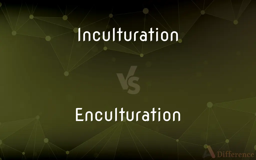 Inculturation vs. Enculturation — What's the Difference?