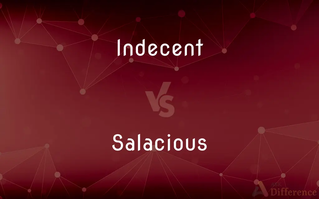 Indecent vs. Salacious — What's the Difference?