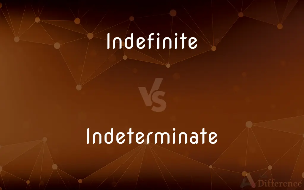 Indefinite vs. Indeterminate — What's the Difference?