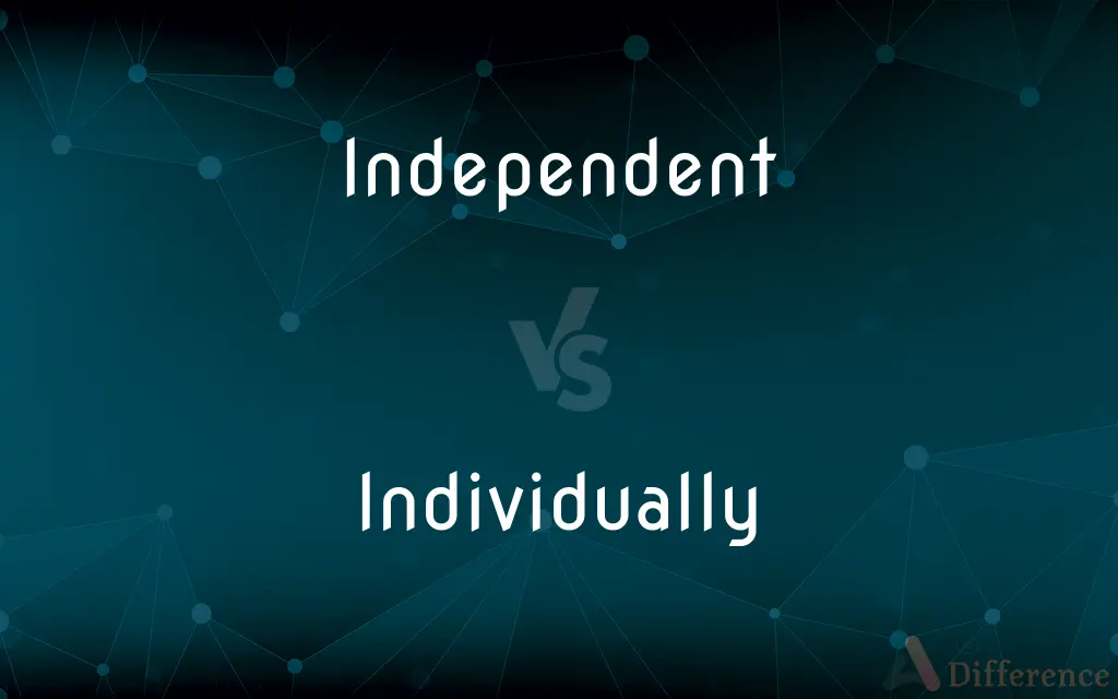Independent vs. Individually — What's the Difference?