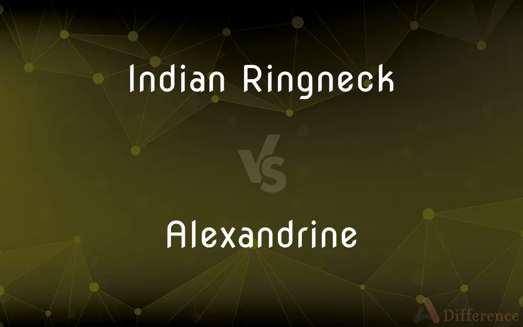 Indian Ringneck vs. Alexandrine — What's the Difference?