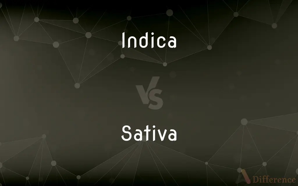 Indica vs. Sativa — What's the Difference?