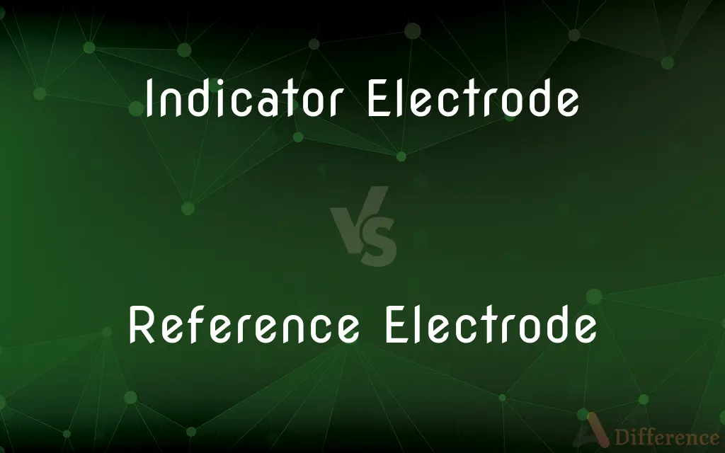 Indicator Electrode vs. Reference Electrode — What's the Difference?