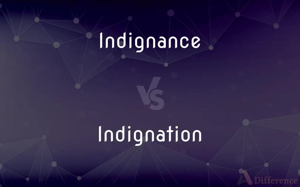 Indignance vs. Indignation — Which is Correct Spelling?