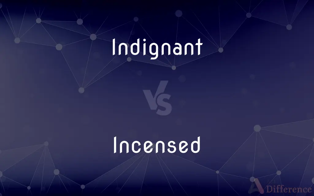 Indignant vs. Incensed — What's the Difference?