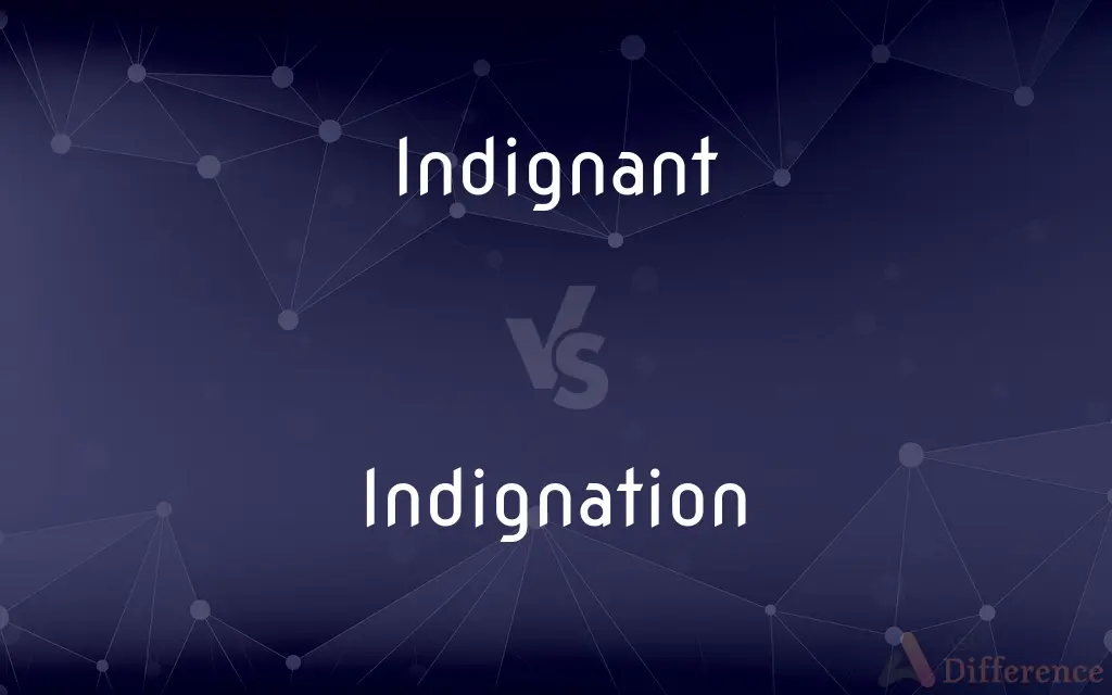 Indignant vs. Indignation — What's the Difference?