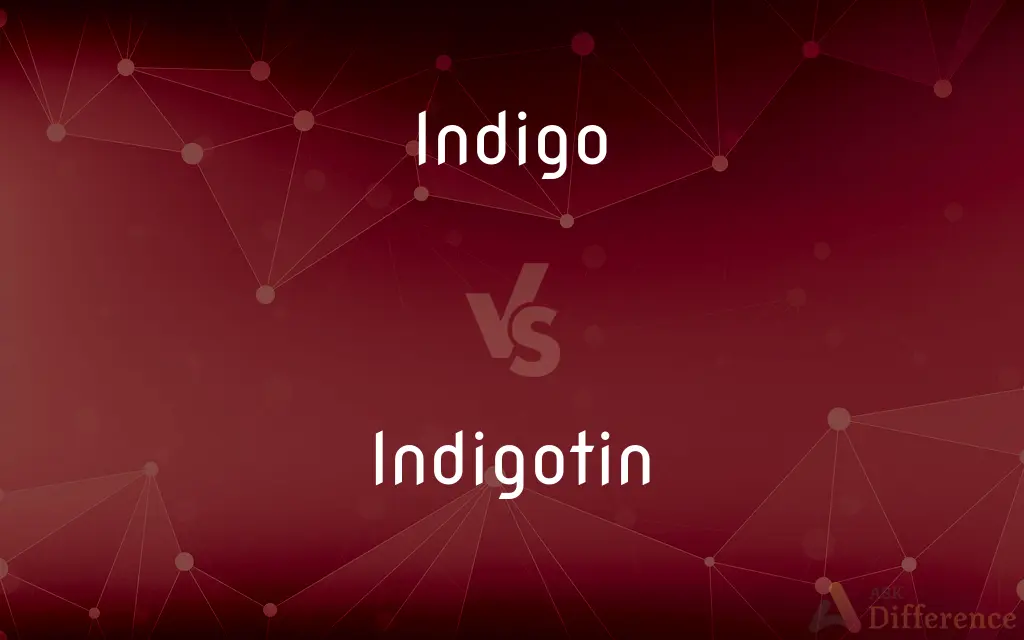 Indigo vs. Indigotin — What's the Difference?
