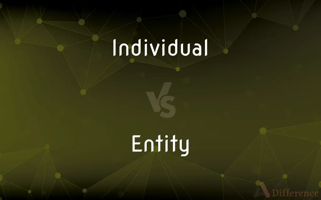 Individual vs. Entity — What's the Difference?