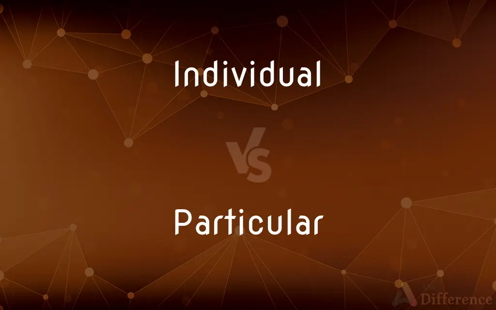 Individual vs. Particular — What's the Difference?