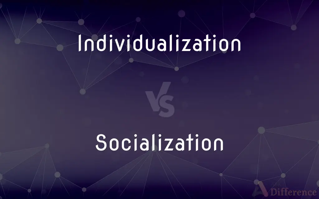 Individualization vs. Socialization — What's the Difference?