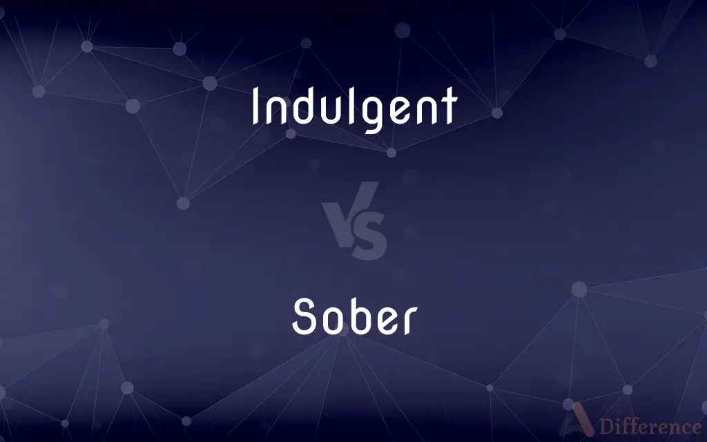 Indulgent vs. Sober — What's the Difference?