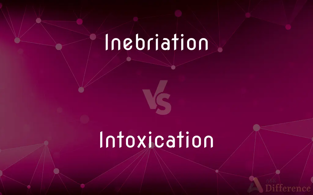 Inebriation vs. Intoxication — What's the Difference?