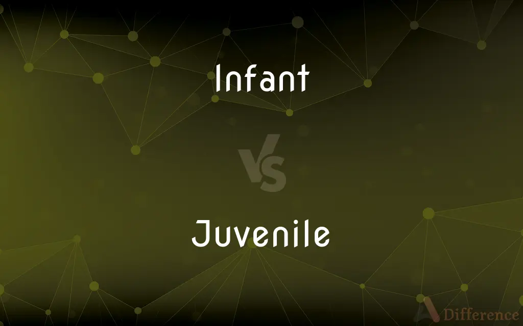 Infant vs. Juvenile — What's the Difference?