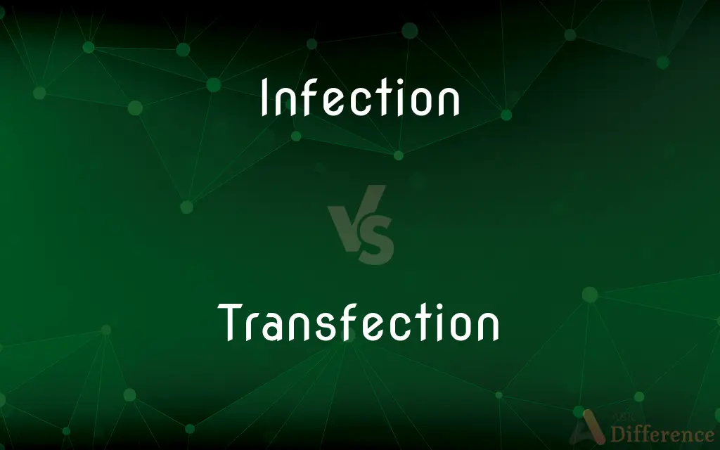 Infection vs. Transfection — What's the Difference?