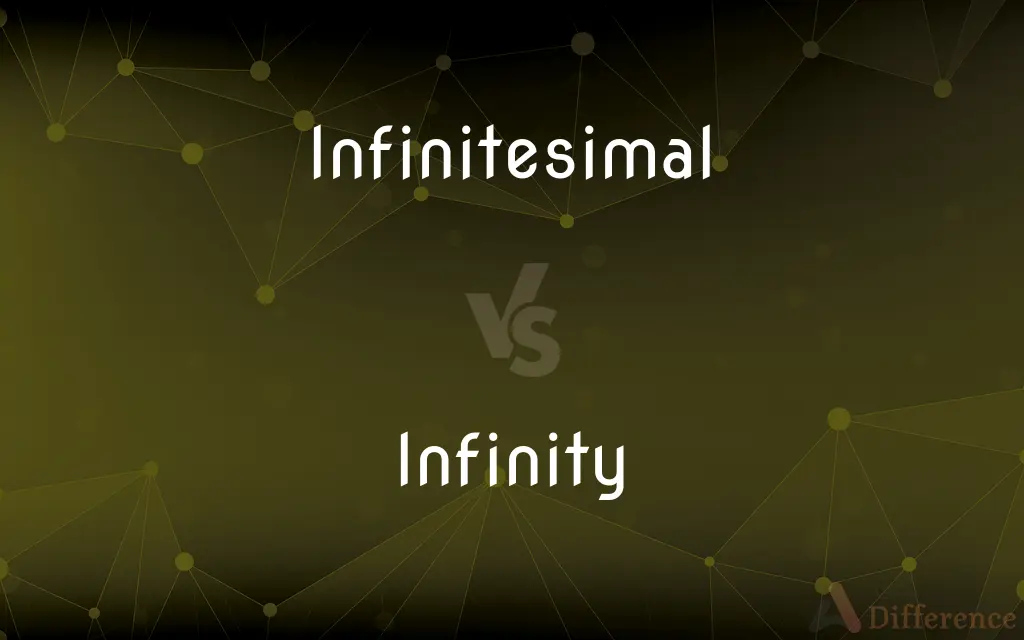 Infinitesimal vs. Infinity — What's the Difference?