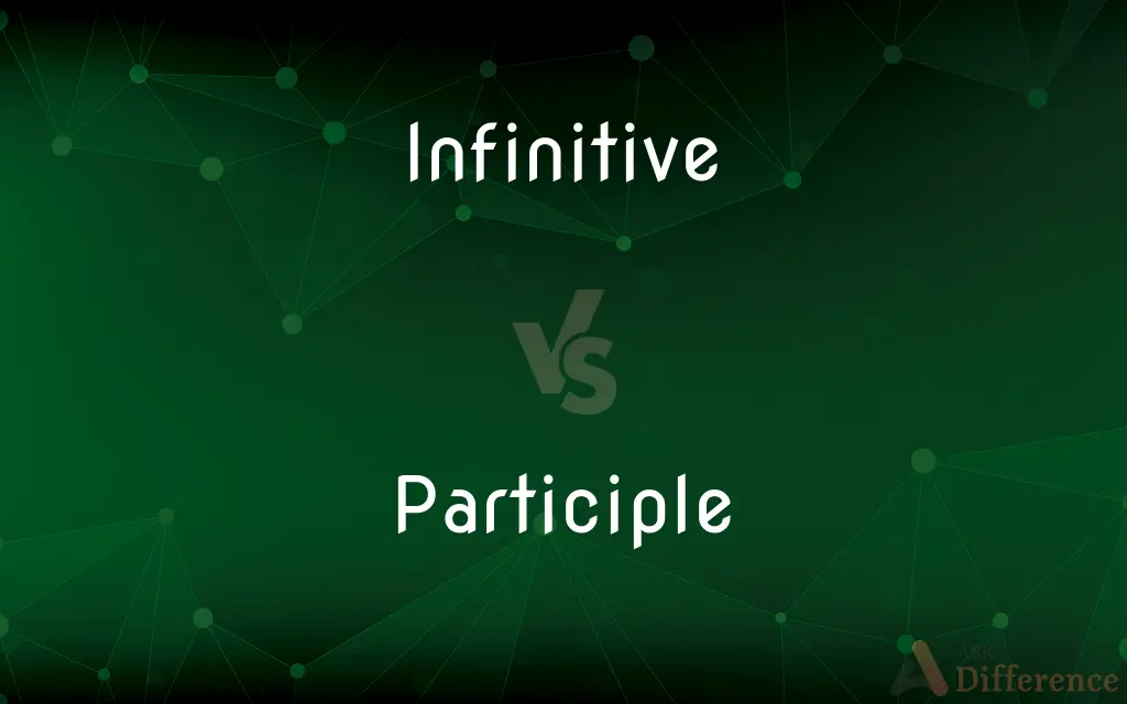 Infinitive vs. Participle — What's the Difference?