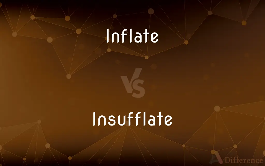 Inflate vs. Insufflate — What's the Difference?
