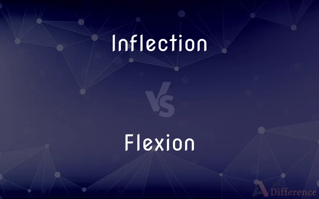 Inflection vs. Flexion — What's the Difference?
