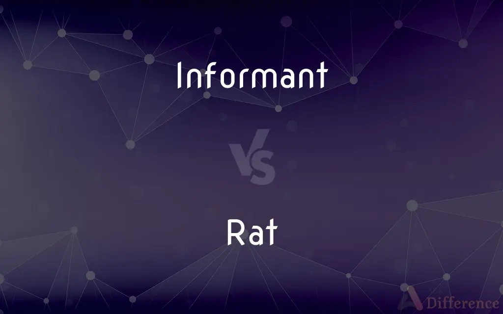 Informant vs. Rat — What's the Difference?