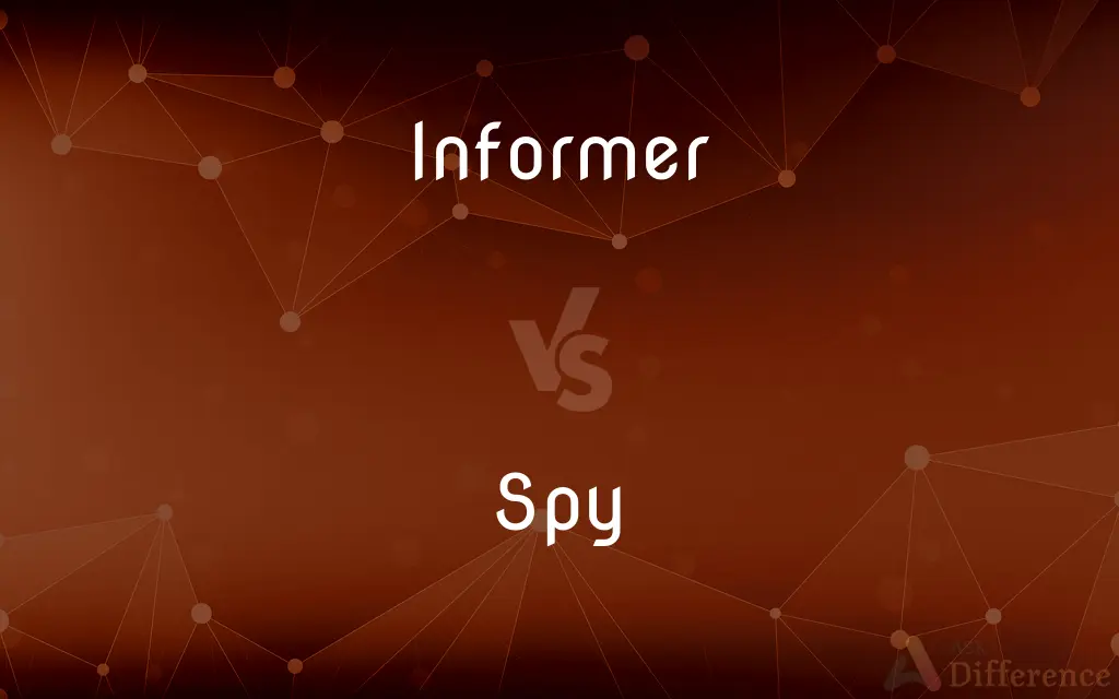 Informer vs. Spy — What's the Difference?