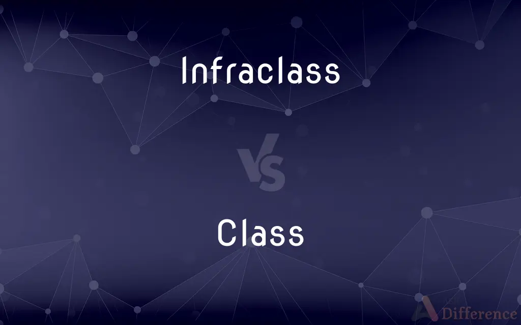 Infraclass vs. Class — What's the Difference?