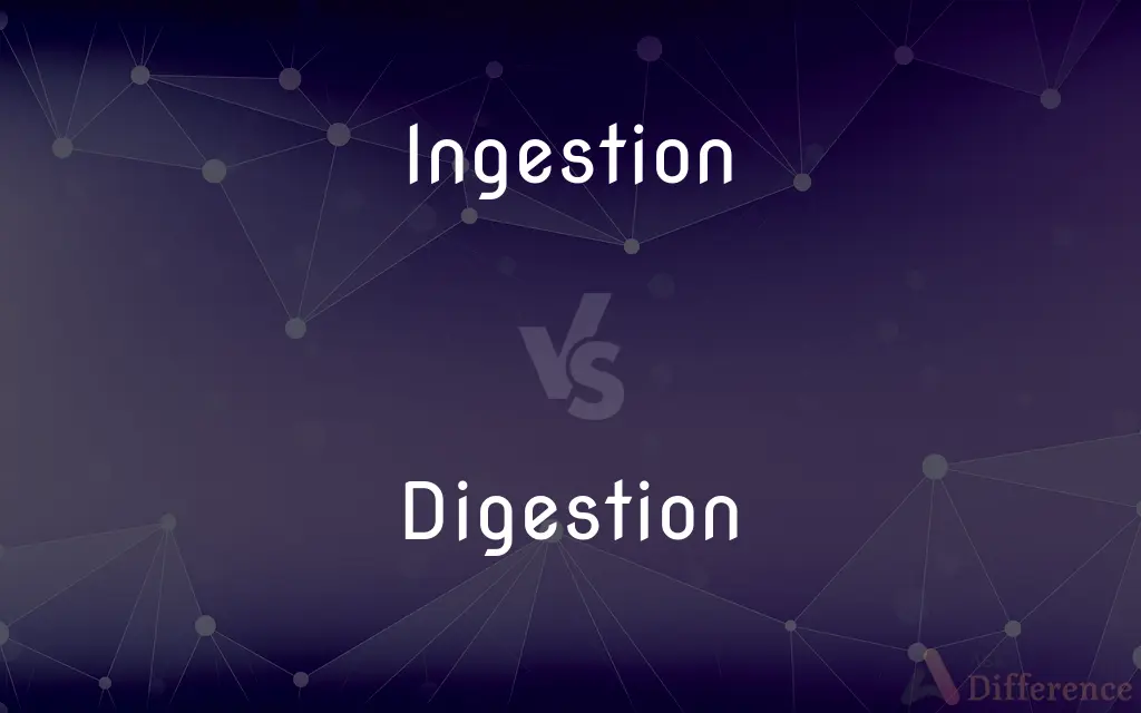 Ingestion vs. Digestion