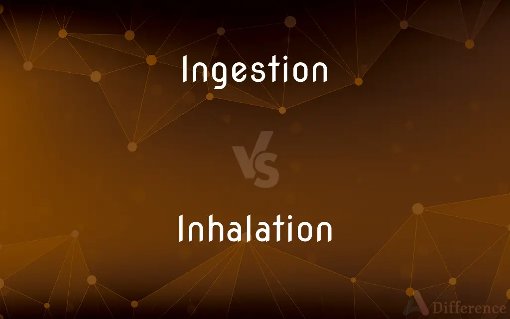 Ingestion vs. Inhalation — What's the Difference?