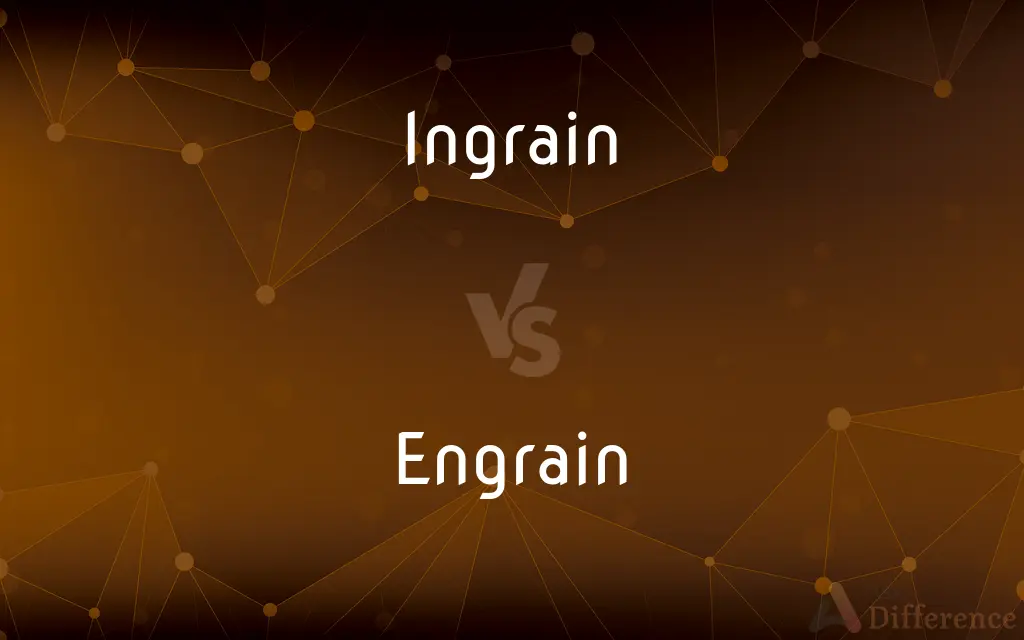 Ingrain vs. Engrain — What's the Difference?