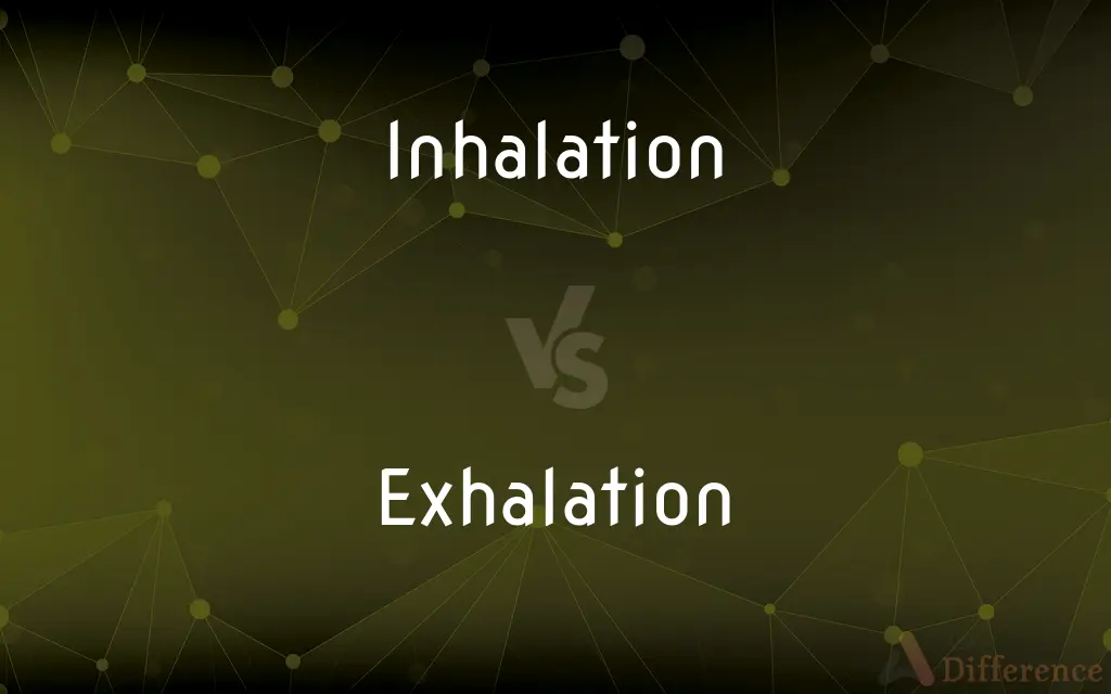 Inhalation vs. Exhalation — What's the Difference?