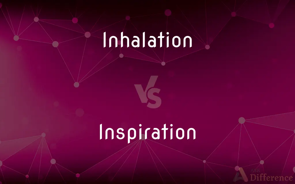 Inhalation vs. Inspiration — What's the Difference?
