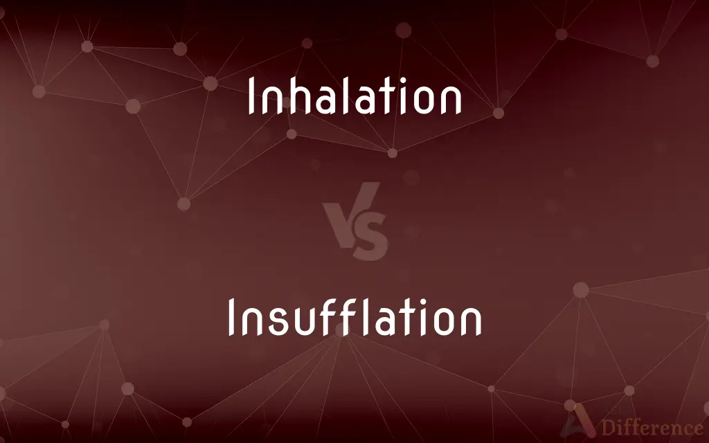 Inhalation vs. Insufflation — What's the Difference?